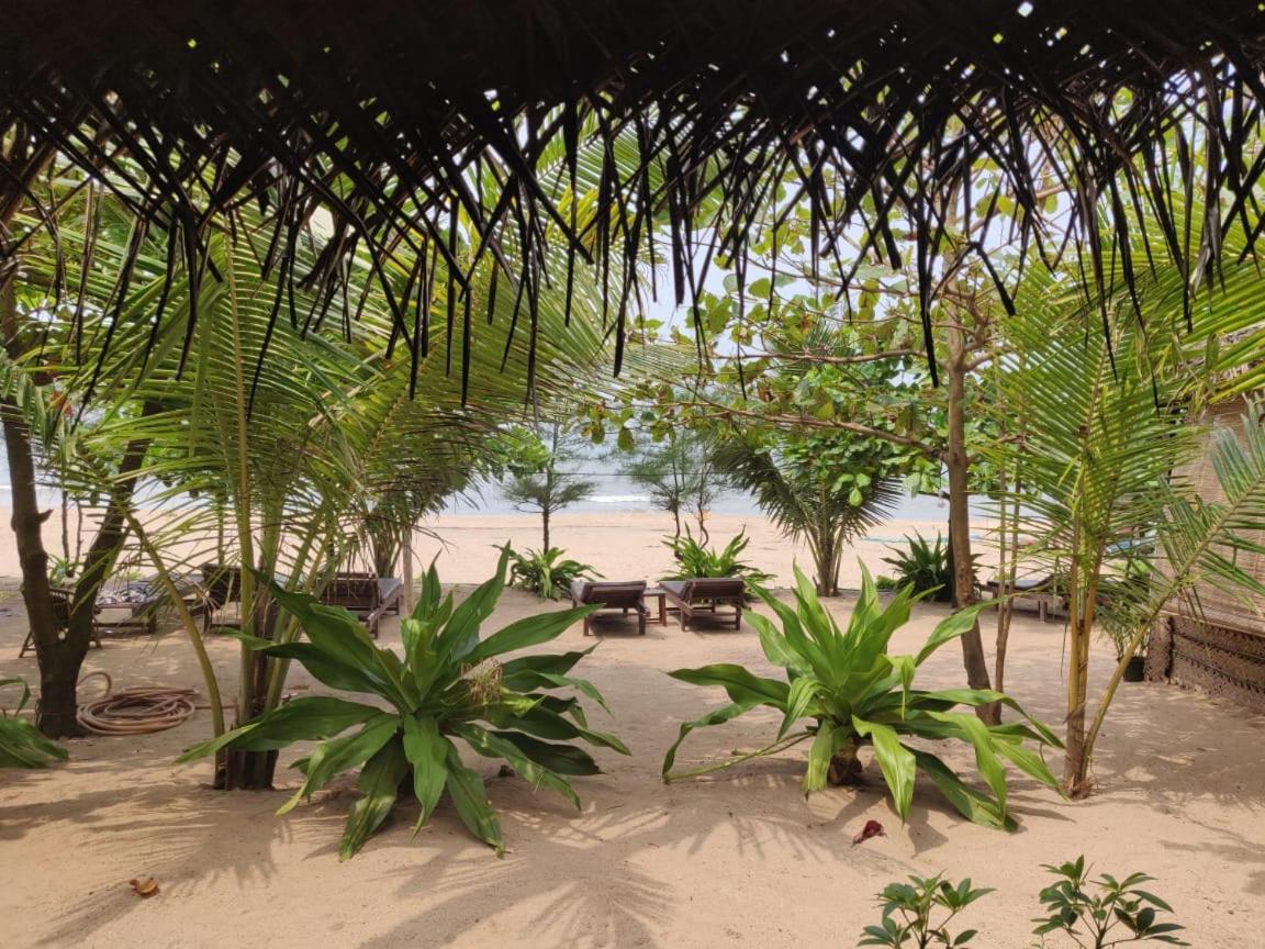 Mariposa Beach Grove Agonda Eksteriør bilde
