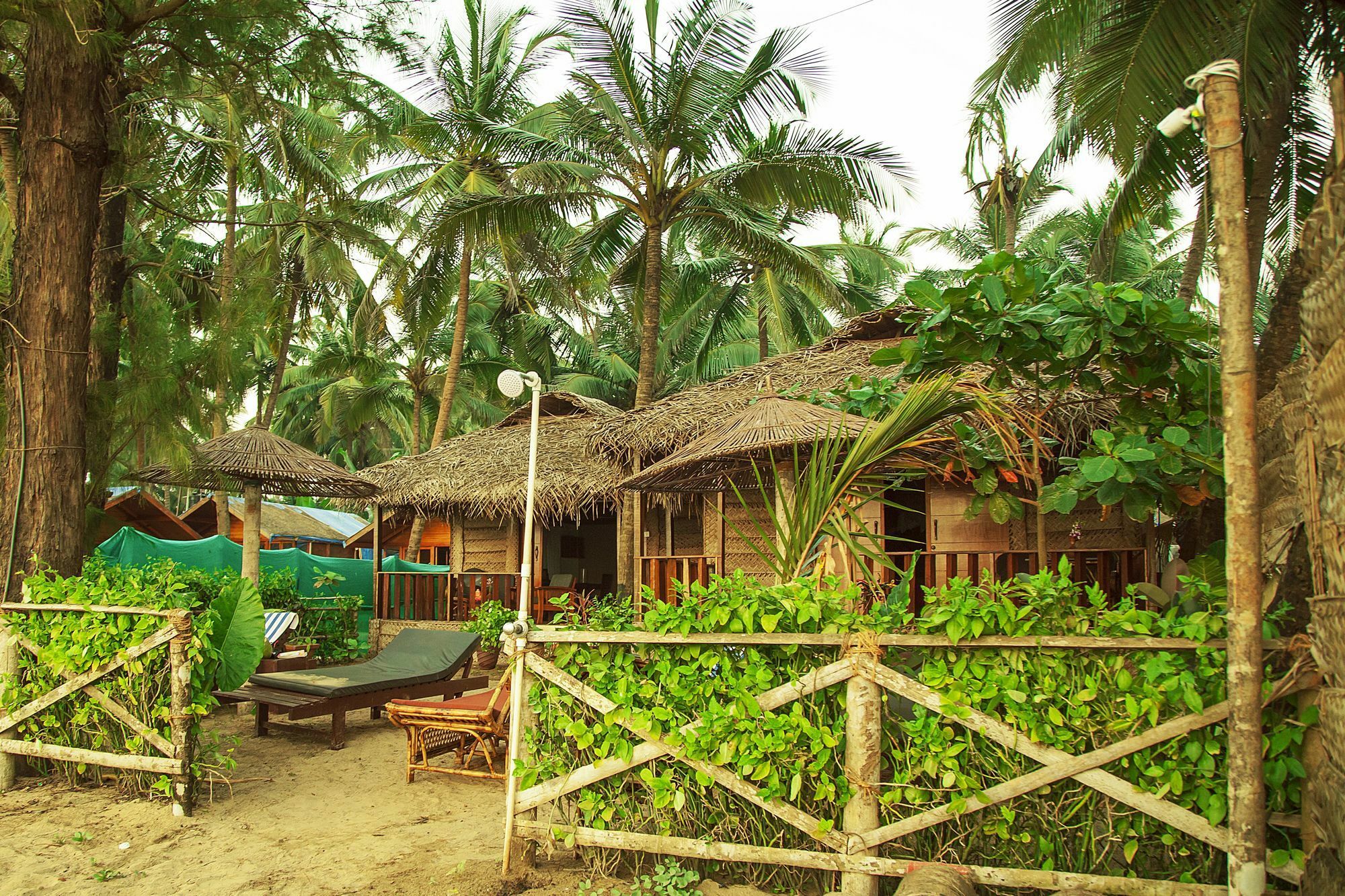 Mariposa Beach Grove Agonda Eksteriør bilde